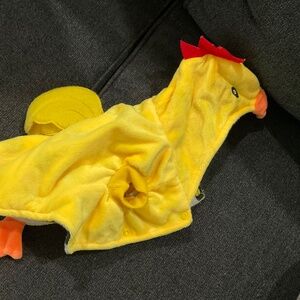 Cat Chicken Costume 🐱